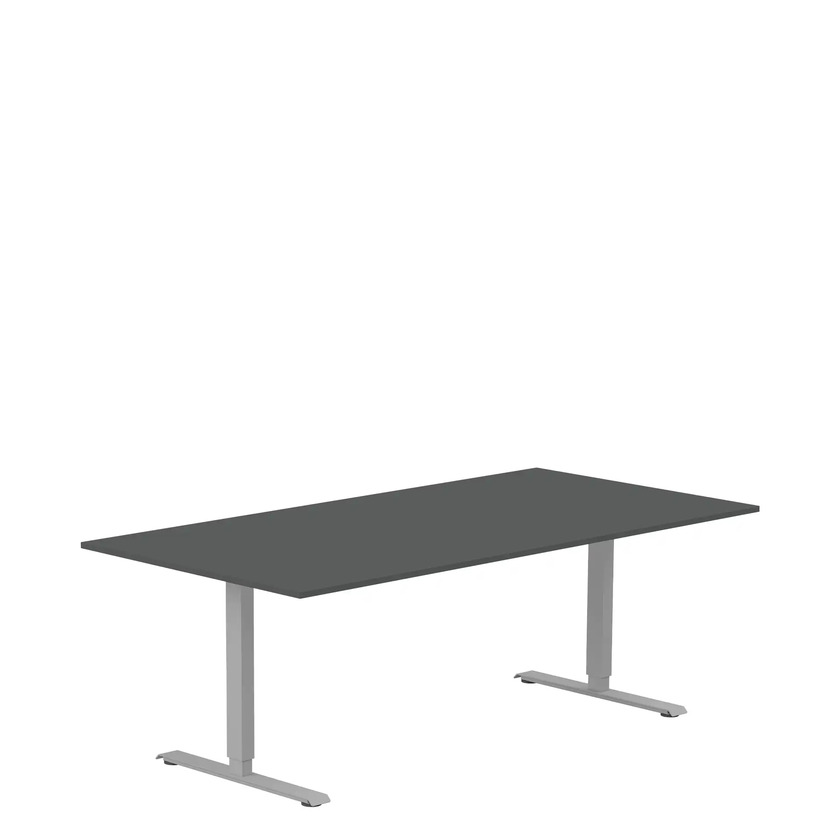 Ergofunk T with rectangular legs Silver 1600x800