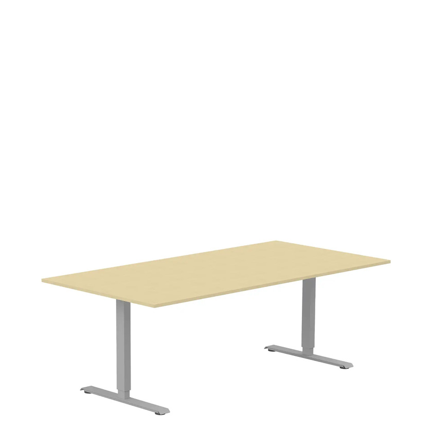 Ergofunk T with rectangular legs Silver 1600x800