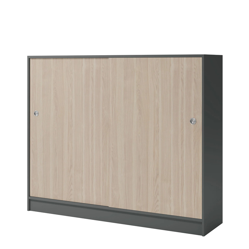 Cabinet with sliding doors Dark grey/Ash 3207