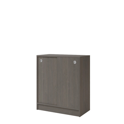 Cabinet with sliding doors 2006