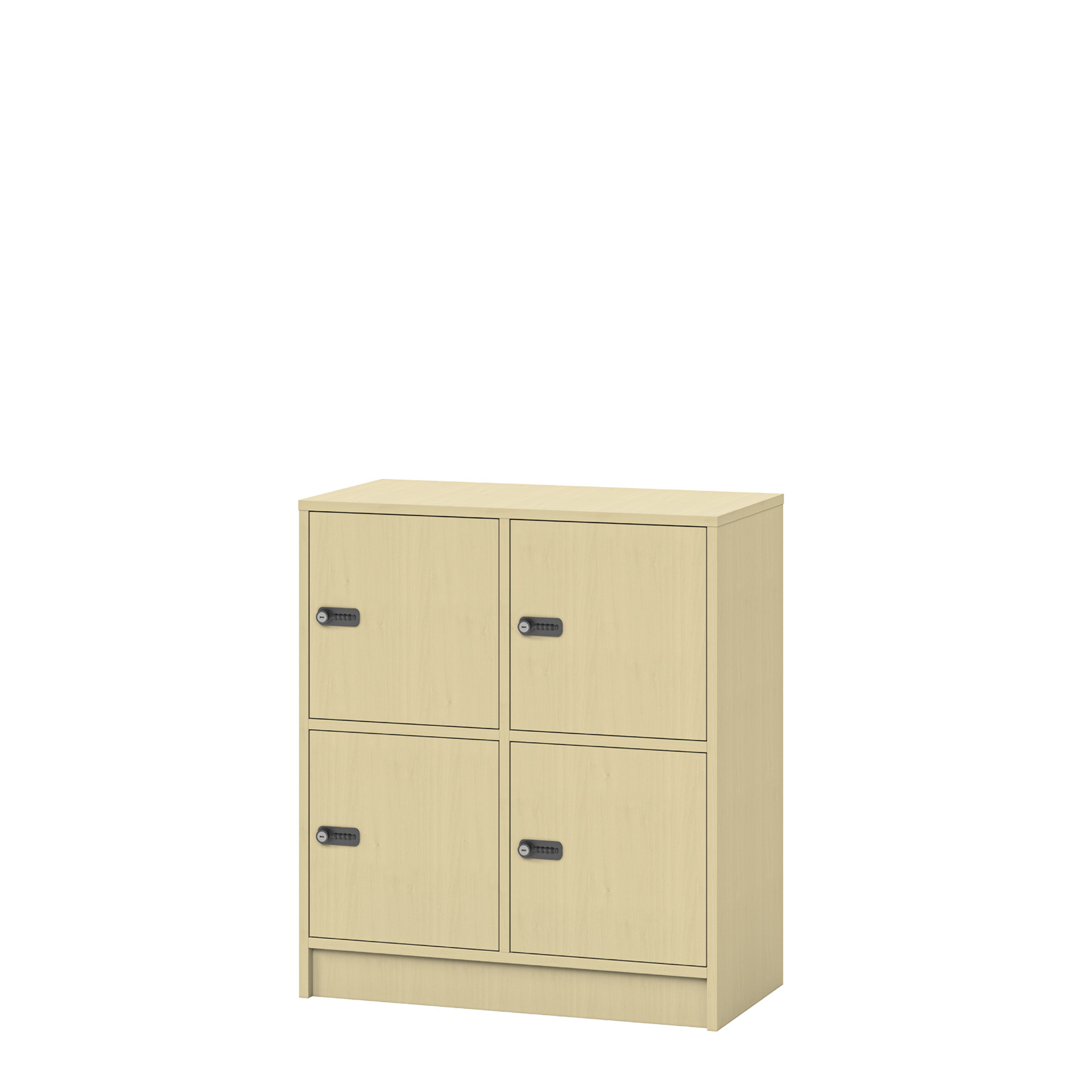 Personal storage 2008 birch