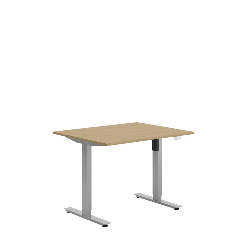 Ergofunk SE Silver 1000 X 800