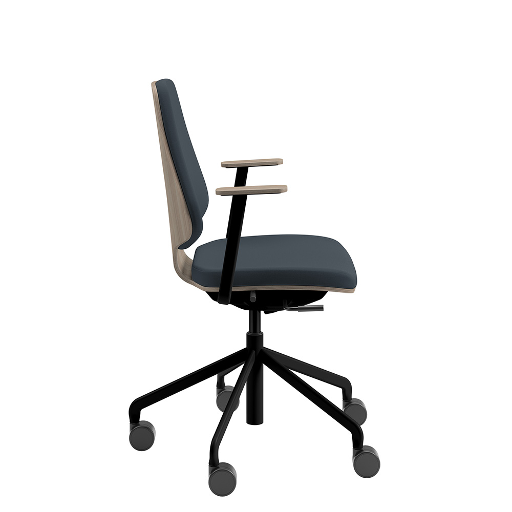 Råshult Ash, armrests, black stand, fabric Cura Loop 66166