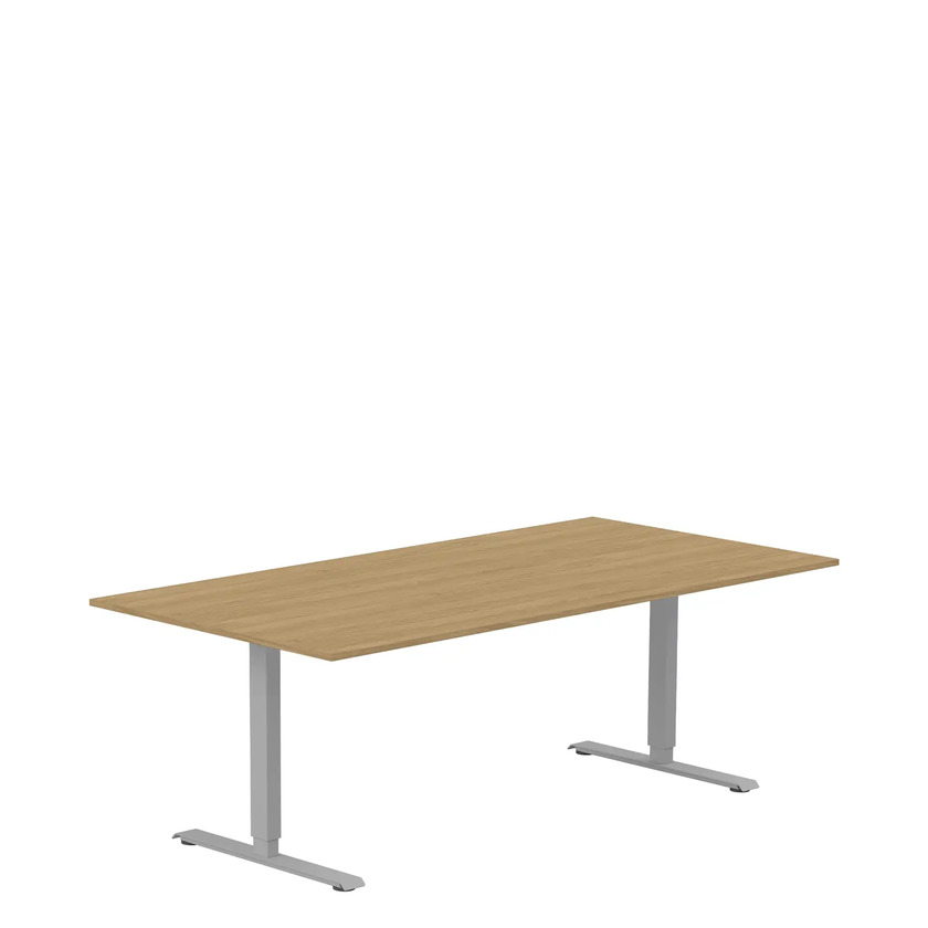 Ergofunk T with rectangular legs Silver 1600x800