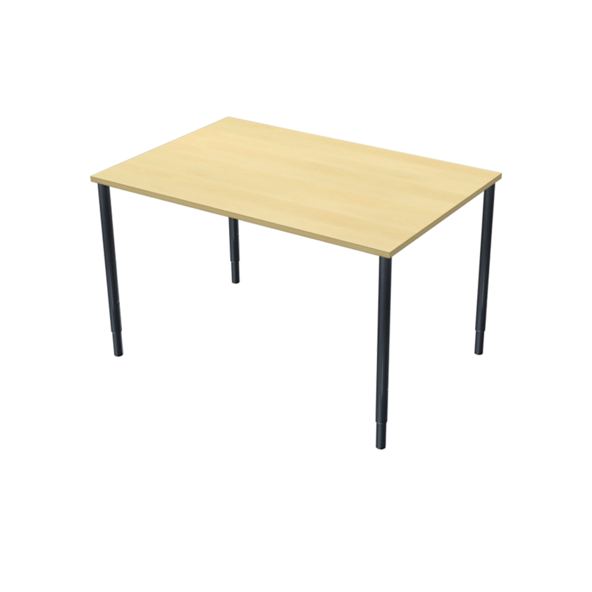 Table 1200 X 600 birch/black