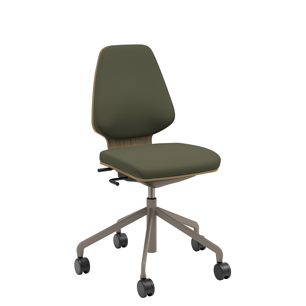 Råshult oak, stand champagne, fabric Cura Loop 68261